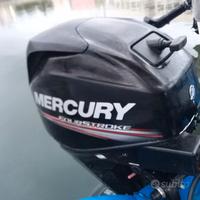 Mercury 25 hp
