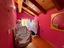 Immagine 26