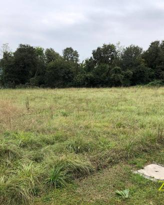 Terreno edificabile - Savogna d'Isonzo