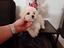 Immagine 14