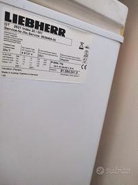 Congelatore pozzetto Liebherr