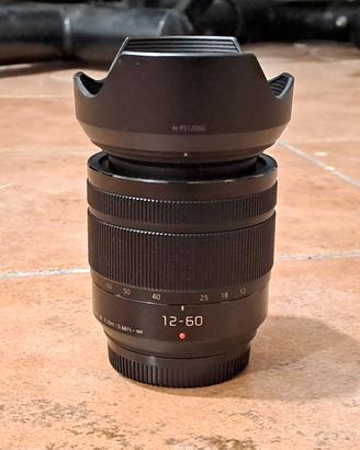 Panasonic Lumix 12-60 f3.5-5.6