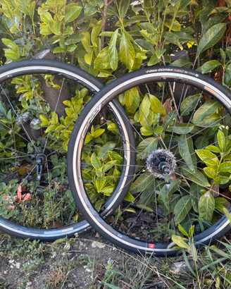 Ruote bici da corsa