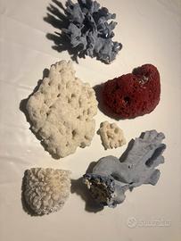 coralli misti per acquario