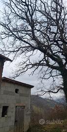 Terreno  con annesso agricolo