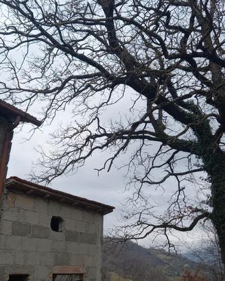 Terreno  con annesso agricolo
