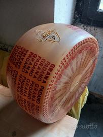 Forma formaggio 