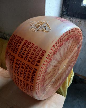 Forma formaggio 
