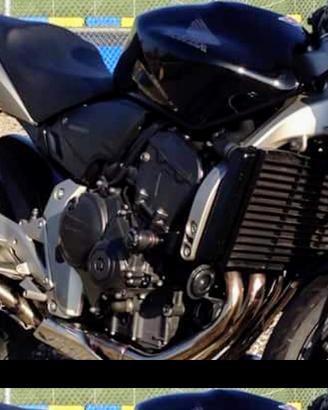 Honda Hornet