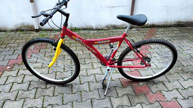 Bicicletta