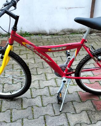 Bicicletta
