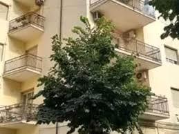 Appartamento uso temporaneo