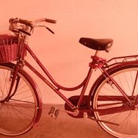 bicicletta donna