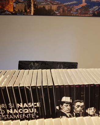 collezione dvd