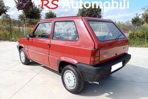 PANDINA Young Timer CONSERVATA