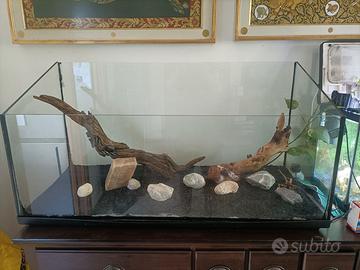 Acquario - tartarughiera