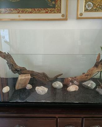Acquario - tartarughiera