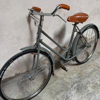 Ligie bici francese