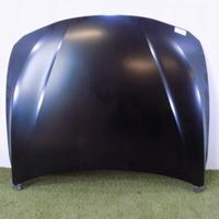 BMW 3 F30 / 31 BMW 4 F32 COFANO - 3002