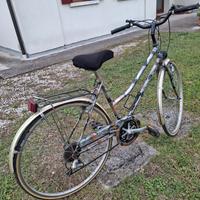 bicicletta da donna 