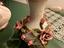 Immagine 3
