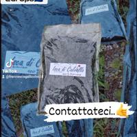 Biochar / carbone vegetale