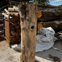 Tronco in legno di castagno