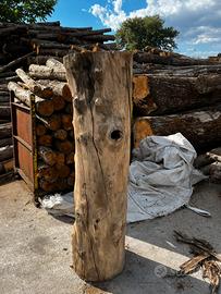 Tronco in legno di castagno