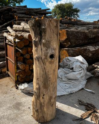 Tronco in legno di castagno