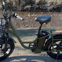 Fiido T1 Pro Cargo Bici Elettrica