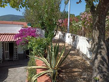 Villetta 150 MQ Caprioli 4km Palinuro CILENTO