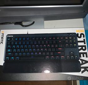 Fnatic mini streak