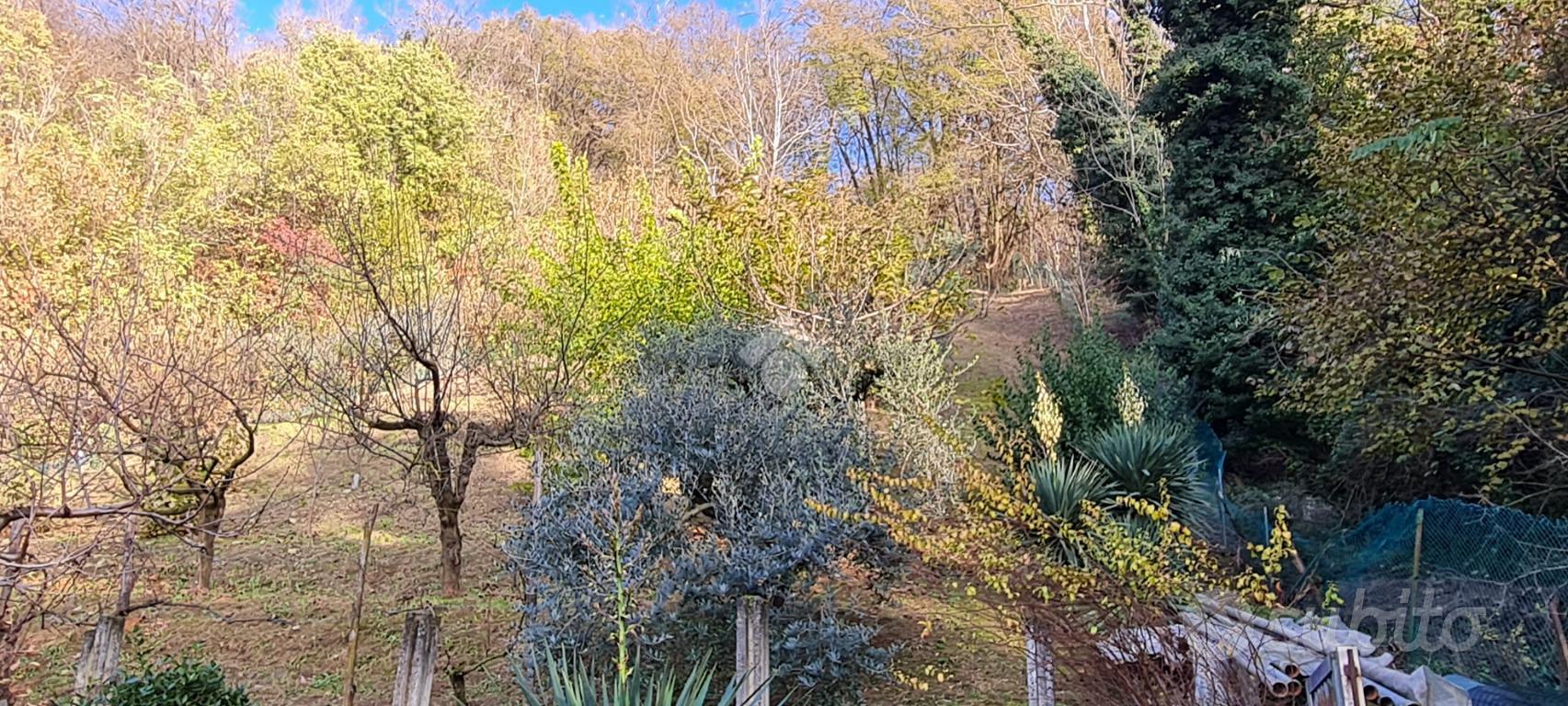 RUSTICO A BRUSAPORTO - Vista 2