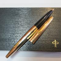 Parker 45 Insignia Stilografica Vintage 