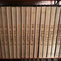 Enciclopedia "Capire" di Fabbri Editori 