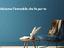 Immagine 23