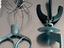 Immagine 5