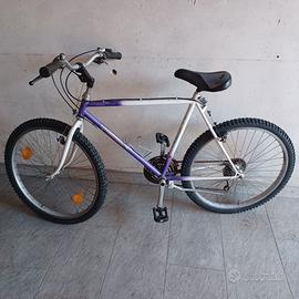 Bici Mountain Bike