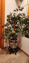 Ficus Benjamin artificiale con vaso orientale 
