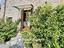 Immagine 24