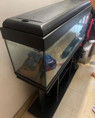 Acquario 100 litri con mobiletto