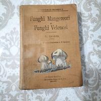Libro Funghi mangerecci e funghi velenosi Hoepli 