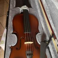 Violino
