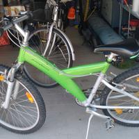 Bicicletta raggio ruota 26