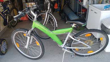 Bicicletta raggio ruota 26