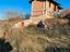 Immagine 5