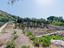 Immagine 23