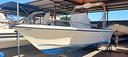 petteruti-19-open-pck-mercury-f115-cvt-nautica