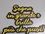 Immagine 5