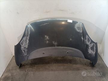 COFANO ANTERIORE FIAT 500 L Serie (351_352) 168978